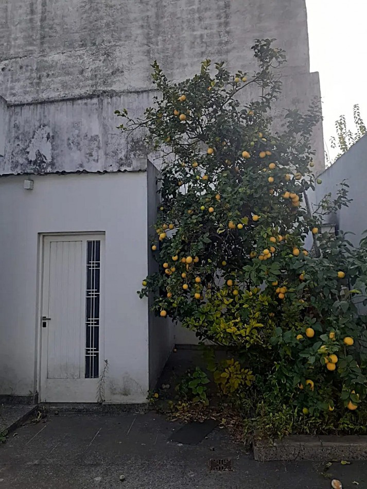 Casa 4 Ambientes Lote Propio 228 M², 124 M² Cubiertos, Cochera, Patio Y Terraza 